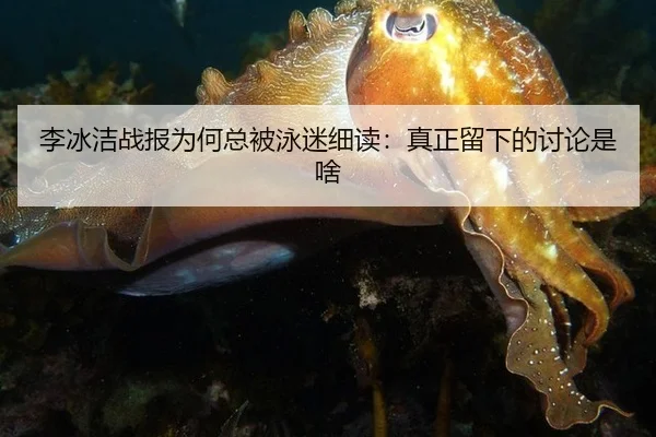 李冰洁战报为何总被泳迷细读：真正留下的讨论是啥